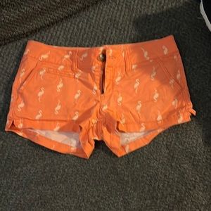 Flamingo shorts